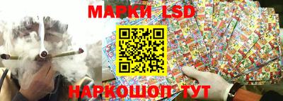 индика Заводоуковск
