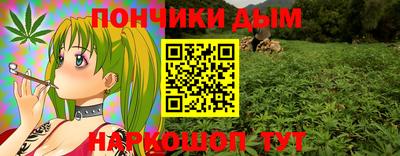 индика Заводоуковск