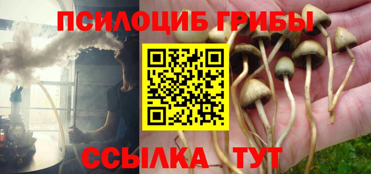 Кушва  Псилоцибиновые грибы GOLDEN TEACHER  Галлюциногенные грибы мухоморы  Вход с VPN 